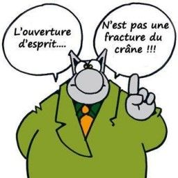 HLP et école de commerce, l'ouverture d'esprit n'est pas une fracture du crane !!!