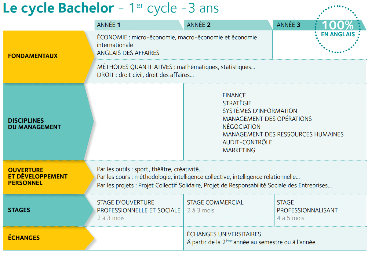 Cycle Bachelor - IESEG